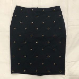 Ann Taylor Beaded Skirt